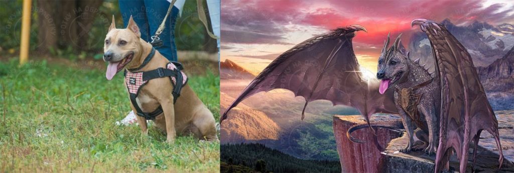 otrisovka-po-foto-339aff77a1